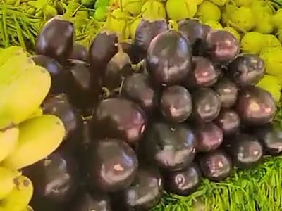 Aubergine