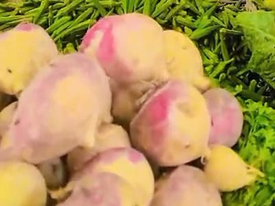 Turnip